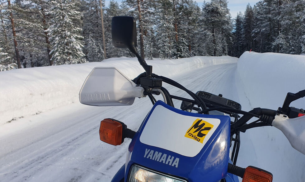 Mc-avisas utskremte, forsøker å finne ut hvor han skal
 Foto: Kyrre Hagen