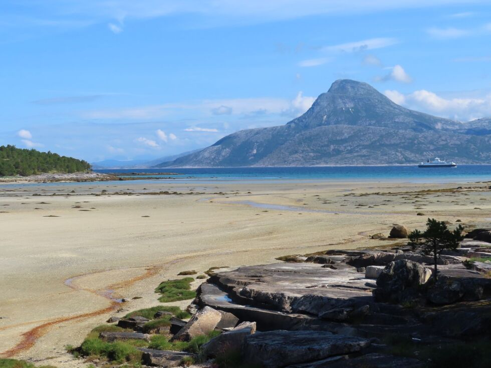 På Hamarøy besøkte jeg gamle kjente, Heidi og Terje Ness, som bor like ved tettstedet Korsnes i sommerhalvåret. Det er ikke mange som har utsikt til Ofoten fra Stuevinduet.